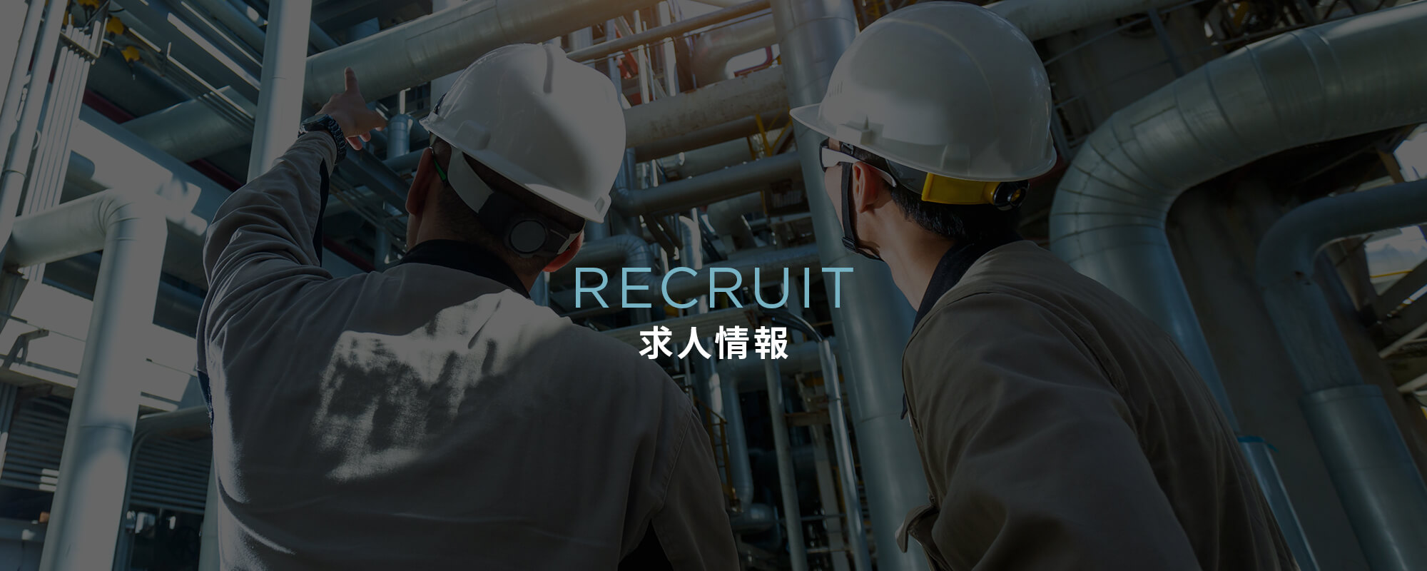求人情報